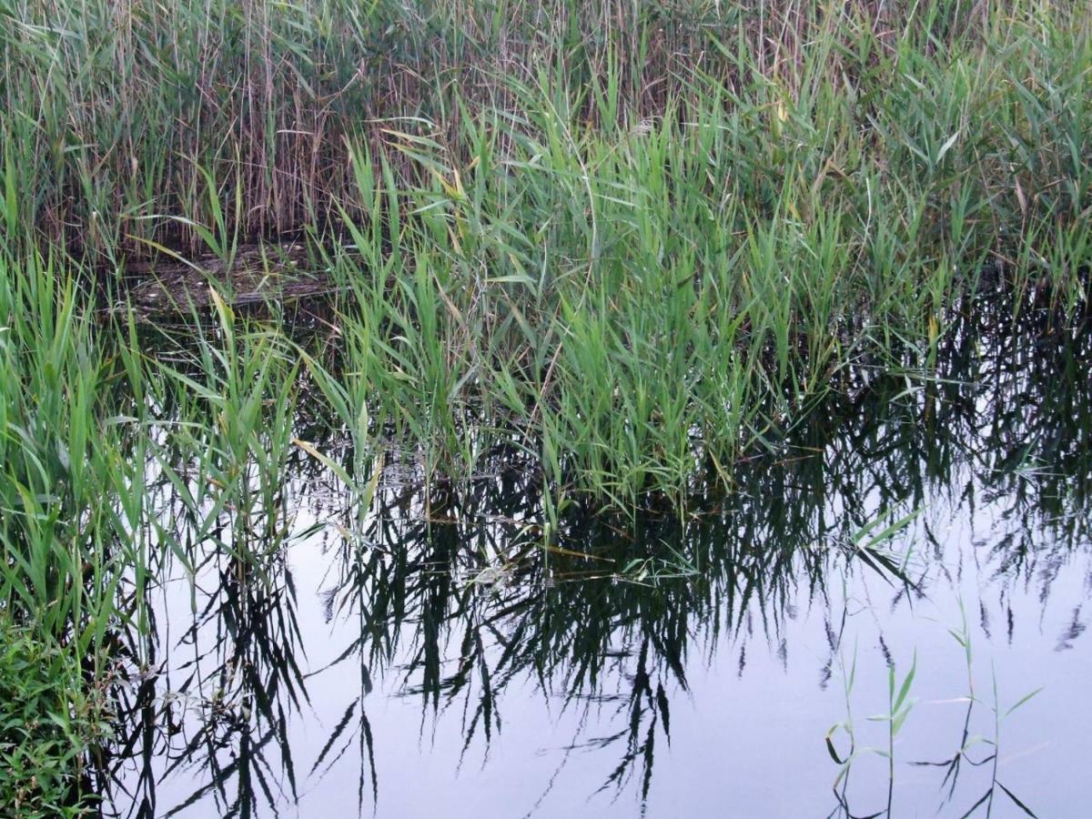 איזמוריס Casa Lagoa Verde מראה חיצוני תמונה