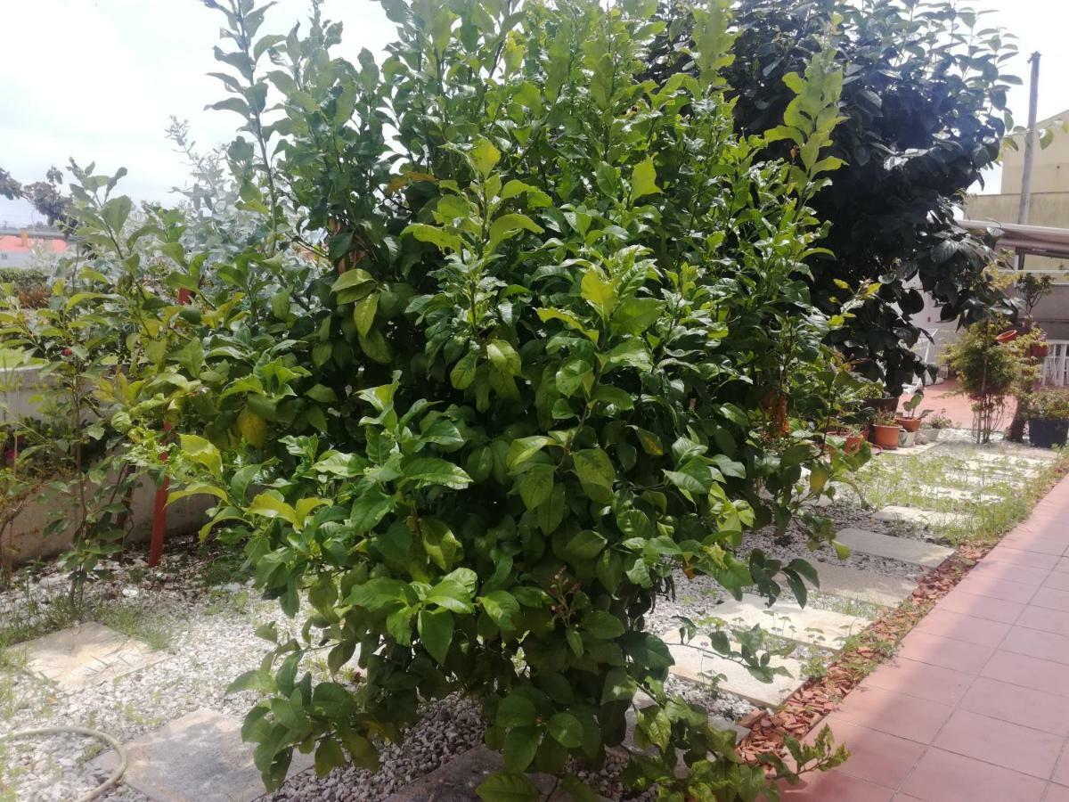איזמוריס Casa Lagoa Verde מראה חיצוני תמונה